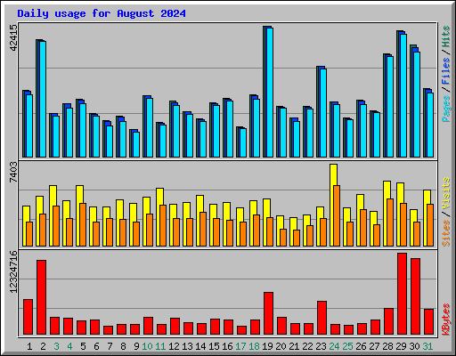 Daily usage for August 2024