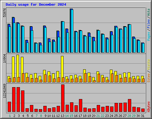 Daily usage for December 2024