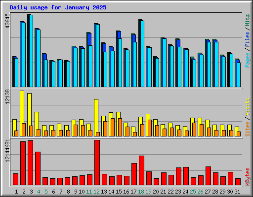 Daily usage for January 2025