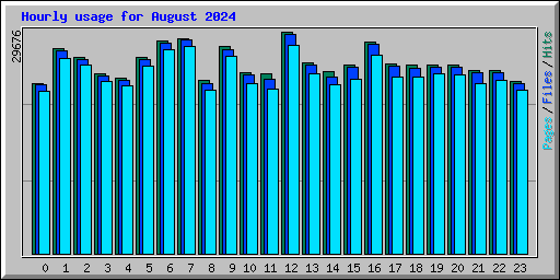Hourly usage for August 2024