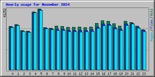 Hourly usage for November 2024