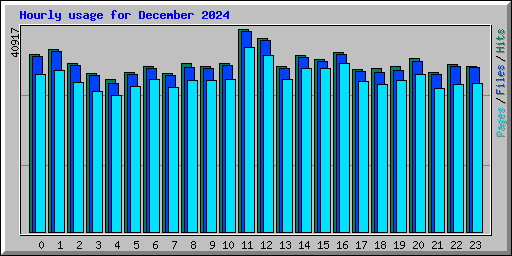 Hourly usage for December 2024