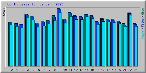 Hourly usage for January 2025