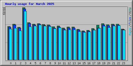 Hourly usage for March 2025