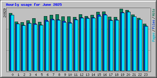 Hourly usage for June 2025