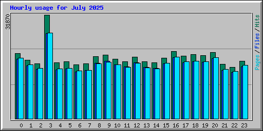 Hourly usage for July 2025