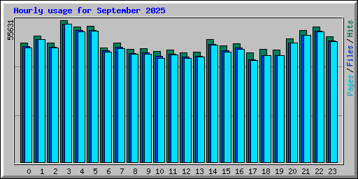 Hourly usage for September 2025