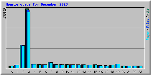 Hourly usage for December 2025
