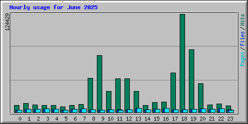 Hourly usage for June 2025