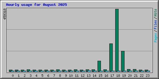Hourly usage for August 2025