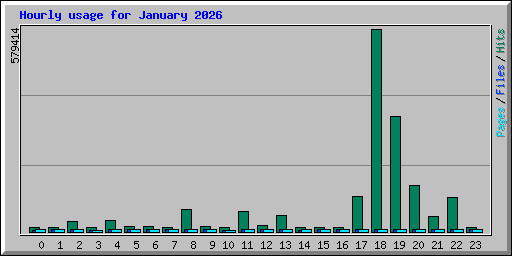 Hourly usage for January 2026
